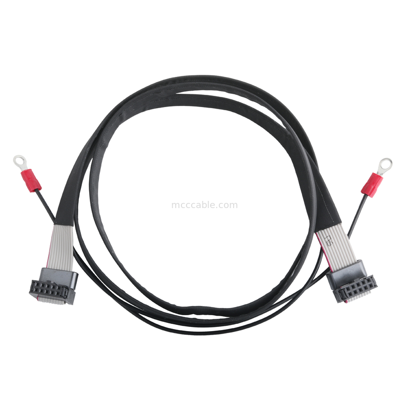 IDC FC-10P And TER M4 Pitch 1.27mm Ground Cable Connector With Ring Wire UL2651 28AWG Cable OEM/ODM