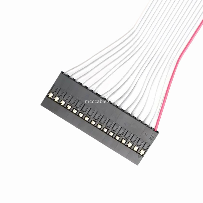 DP2.54-1×16P to IDC2.54 2×8P Ribbon Cable Assembly | Custom Pitch 2.54mm