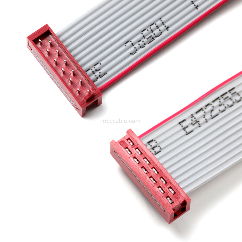 IDC Flat Ribbon Cable Assembly – 2.54 mm Dual-Row Connector, Custom OEM
