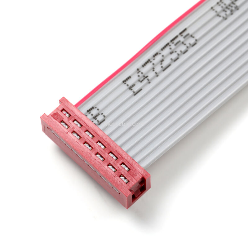 IDC Flat Ribbon Cable Assembly – 2.54 mm Dual-Row Connector, Custom OEM