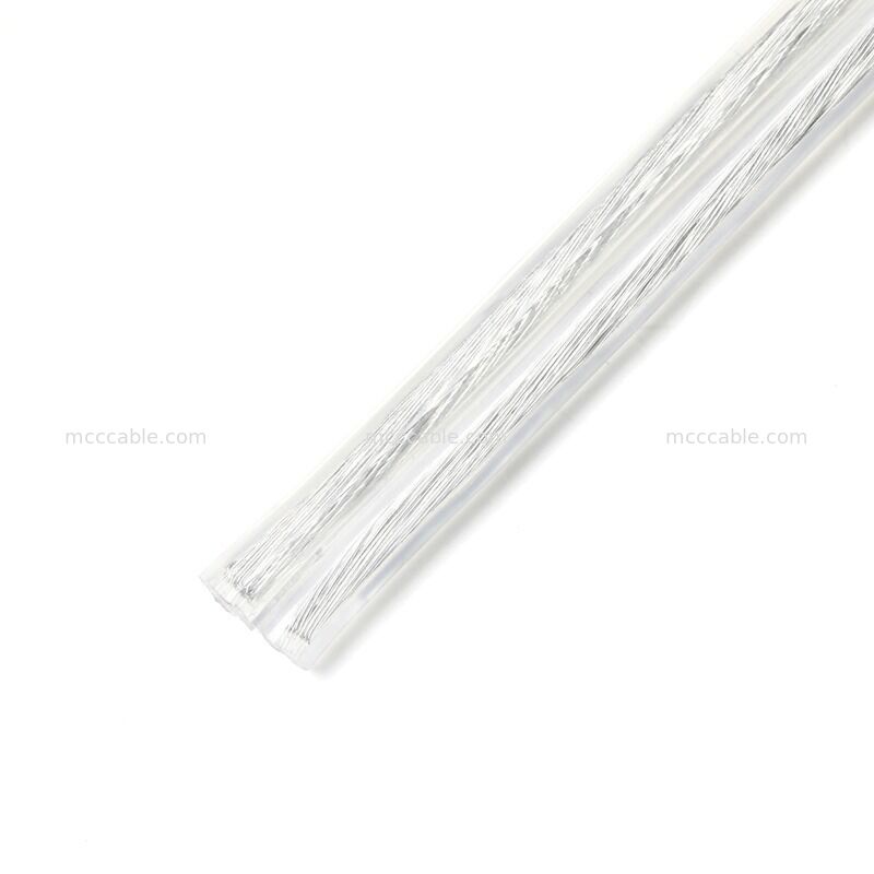 Custom Transparent Polarized Two-Prong Power Cord Assembly with 18AWG SPT-2 Cable