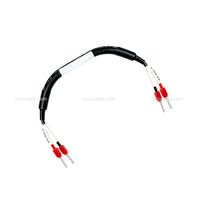Custom 24V 18AWG 2-Conductor Ferrule Power Cable Assembly for Industrial Equipment