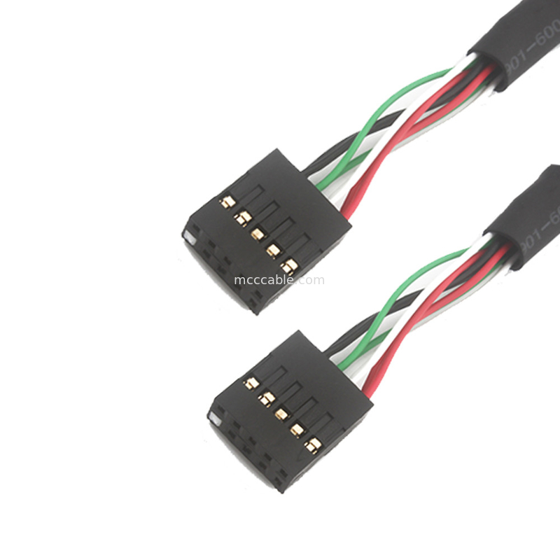 2.54mm Dual Usb Wire Harness Bb To Sbc 10 POS MOLEX 22552101 cable