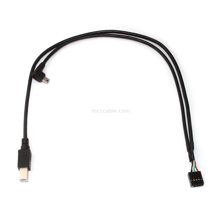 10 Pin 30AWG 2.54mm Pitch Molex Cable Assembly 150mm Length Molex 22-55-2101