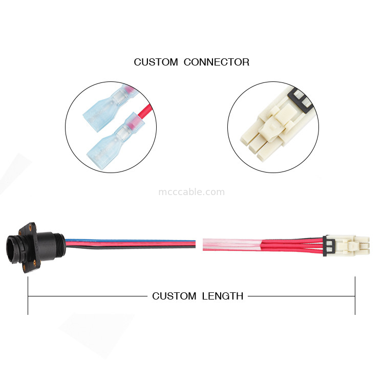 6 Pin 100mm Length Wire Harness Assembly Molex 1722582106 To 4 Pin TE 208130-1