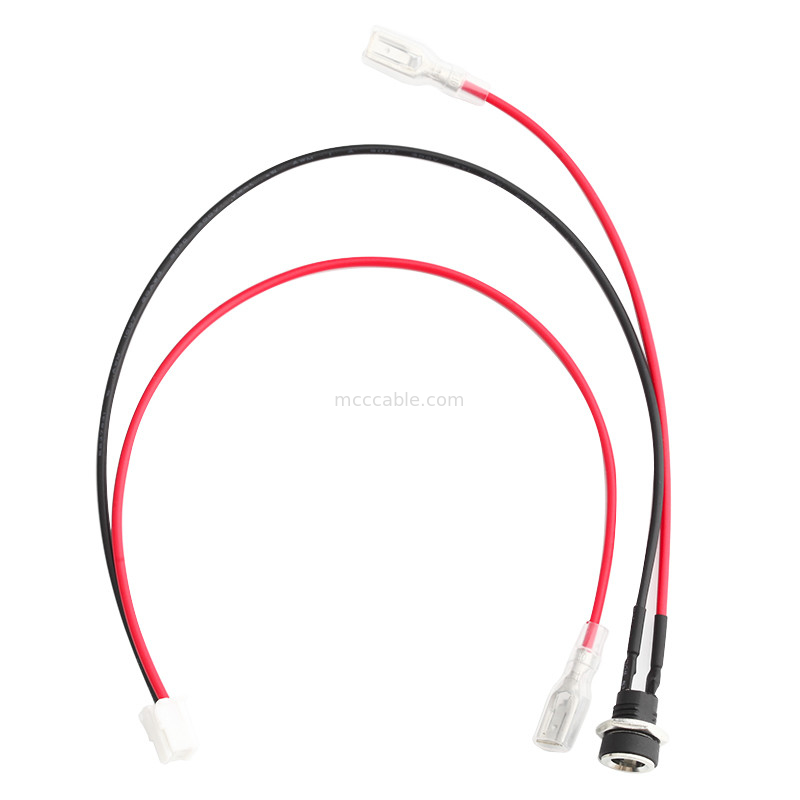 HSG XAP-02V-S Custom Wire Harness 2.5 PITCH To DC PLUG For Power DC 3.6 Round Cable