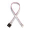 IDC 12 PIN Flat Flexible Ribbon Cable DF19 TO JST RF for PCBA power cable