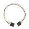 Custom Molex 2255210 2.54mm Front Panel Cable for EMB B75A Wire Harness